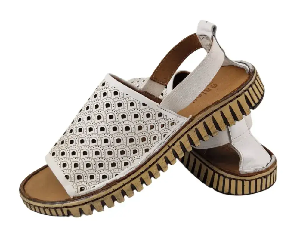 ESTETIC 030.113.1895