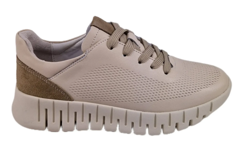 FILIPPO DP6035 /24 - zdjęcie 1