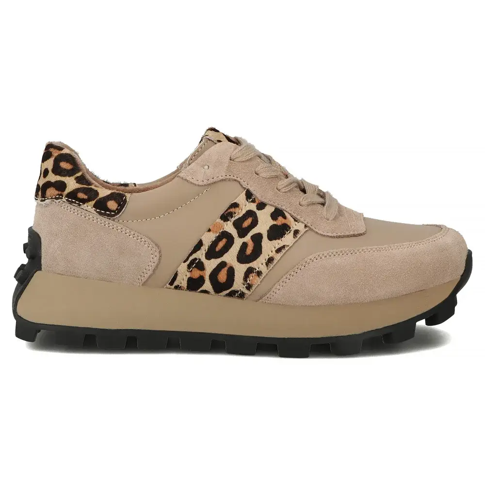 FILIPPO DP7112/25 /LEO - zdjęcie 2